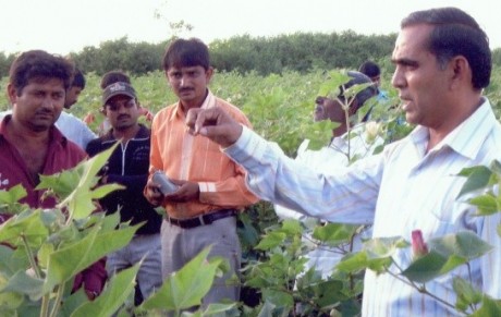 GGRC officer explaining farmers about irrigation